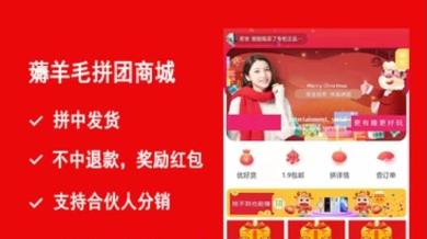 薅羊毛拼团商城小程序源码v2.8.6+前端